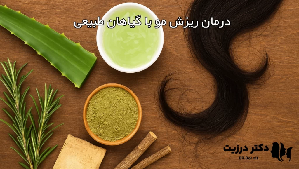 درمان ریزش مو با گیاهان طبیعی؛ بازگشت به ریشه‌های سلامت