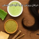 درمان ریزش مو با گیاهان طبیعی؛ بازگشت به ریشه‌های سلامت